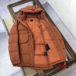 2024年12月1日秋冬高品質新品入荷ZEGNA  ダウンジャケットdib工場