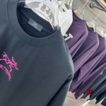 2025年新作春夏 ARCTERYX 半袖 Tシャツ 綿  boch工場