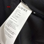 2024年12月24日秋冬高品質新品入荷LOEWE  半袖 Tシャツ NICE工場