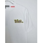 2025年高品質新品入荷ディオール 半袖 Tシャツ  2A003工場