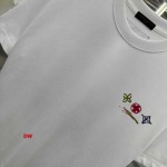 2025年1月20日春夏新品入荷 ルイヴィトン半袖 TシャツDW工場