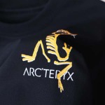 2025年3月7日新品ARCTERYX上下セット  HAOKE工場