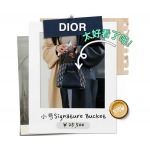 2025年5月29日入荷新作 Dior signature バケツバッグ  SIZE：21x19x11CMお安い/人気/革/バッグ/XX工場