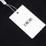 2025年6月5日入荷新作Dior半袖 Tシャツ誕生日プレゼントの服/男女兼用/カップル服人気/BC工場
