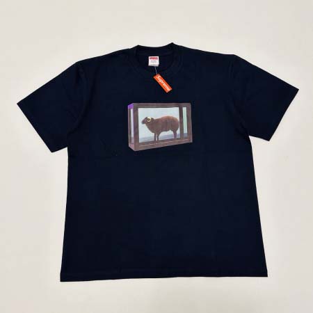 2025年6月13日入荷新作T SUPREME SS25 D...