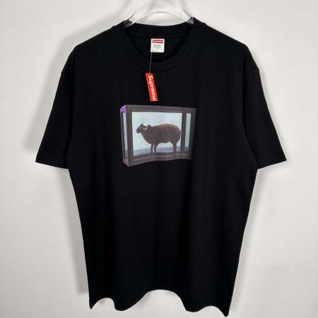 2025年6月13日入荷新作T SUPREME SS25 D...