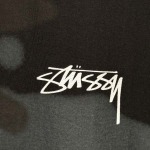 2025年6月14日入荷新作T STUSSY SS25 LOW TIDE TEE S- XL  誕生日プレゼント/男女兼用/高品質/正規品と同じ人気/16工場