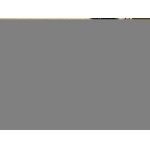 2025年10月11日秋冬入荷新作Canada Gooseダウンベスト高品質安い人気商品/HL工場