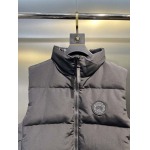 2025年10月11日秋冬入荷新作Canada Goose 女性用ダウンジャケット高品質安い人気商品/HL工場