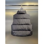 2025年10月11日秋冬入荷新作Canada Goose 女性用ダウンジャケット高品質安い人気商品/HL工場