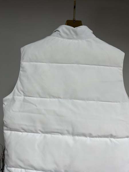2025年11月17日秋冬新作Canada Gooseダウンベスト高品質人気商品/QIU工場