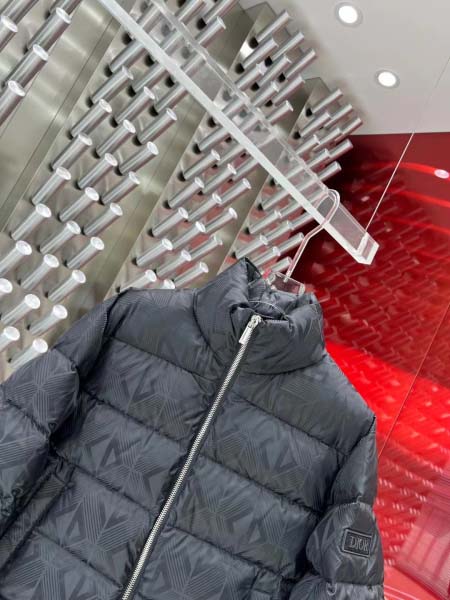 2025年11月17日秋冬新作Dior ダウンジャケット高品質人気商品/QIU工場