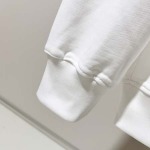 2025年11月3日秋冬新作Dior パーカー高品質人気商品/LDF工場