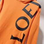 2025年11月3日秋冬新作LOEWEパーカー高品質人気商品/LDF工場