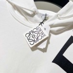 2025年11月3日秋冬新作LOEWEパーカー高品質人気商品/LDF工場