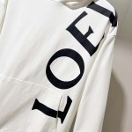 2025年11月3日秋冬新作LOEWEパーカー高品質人気商品/LDF工場