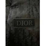 2025年11月4日秋冬新作DIORダウンジャケット超厳選★入手困難高品質人気商品/LDF工場