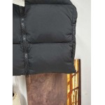 2025年11月17日秋冬新作Canada Gooseダウンベスト高品質人気商品/QIU工場