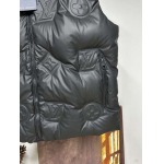 2025年11月17日秋冬新作Louis vuittonダウンベスト高品質人気商品/QIU工場