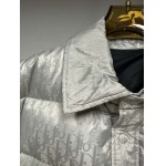 2025年11月17日秋冬新作DIORダウンジャケット高品質人気商品/QIU工場