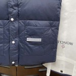 2025年11月17日秋冬新作Canada Gooseダウンベスト高品質人気商品/QIU工場