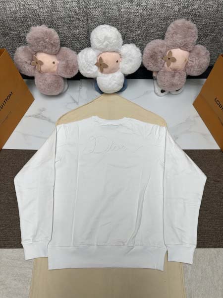 2025年12月1日秋冬新作Dior スウェット高品質人気商品/LDF工場