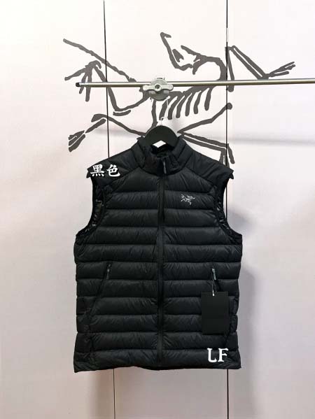 2025年12月1日秋冬新作Arcteryxダウンジャケット高品質人気商品/LDF工場