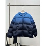 2025年12月4日秋冬新作Gucciダウンジャケット高品質人気商品/LDF工場
