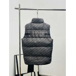 2025年12月4日秋冬新作Dior ダウンベスト高品質人気商品/LDF工場
