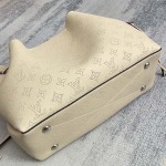 2025年12月10日入荷Louis Vuitton バッグ高品質新作/誕生日プレゼント/ZC工場