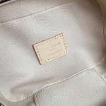 2025年12月10日入荷Louis Vuitton バッグ高品質新作/誕生日プレゼント/ZC工場