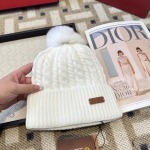 2025年12月11日入荷新品Loro Piana帽子ギフト/誕生日/記念品/アクセサリーkaka工場