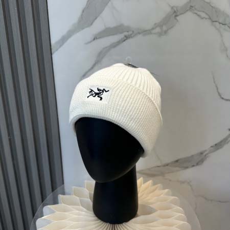 2025年12月11日入荷新品ARCTERYX帽子ギフト/誕...