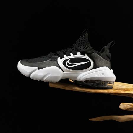 2026年1月10日入荷新品Nike Air Max Alp...