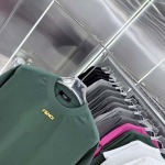 2026年1月15日新作FENDI半袖 tシャツ高品質人気商品/誕生日プレゼント/FF工場