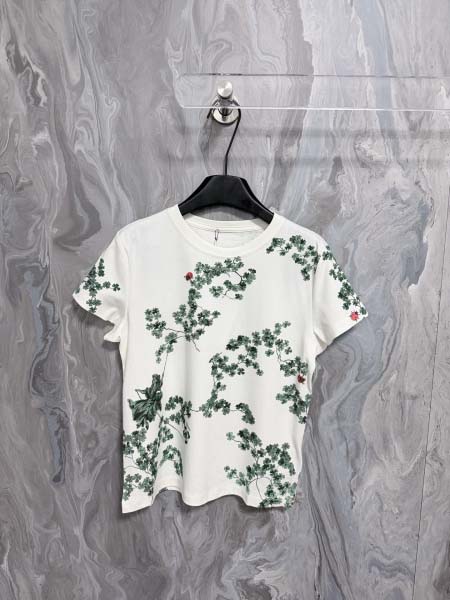 2026年1月19日新作Dior半袖 tシャツ高品質人気商品...