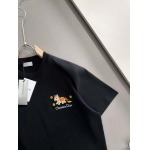 2026年1月20日新作DIOR半袖 tシャツ高品質人気商品/誕生日プレゼント/FF工場
