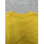 2026年1月21日新作Dior半袖 tシャツ高品質人気商品/誕生日プレゼント/FF工場