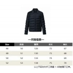 2026年1月23日新作Louis vuittonダウンジャケット高品質人気商品/誕生日プレゼント/FF工場