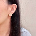 2026年2月2日入荷新品シャネルピアスギフト/誕生日/記念品/アクセサリーxin工場