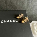 2026年2月2日入荷新品シャネルピアスギフト/誕生日/記念品/アクセサリーxin工場