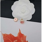 2026年2月4日入荷新品Chanelピアスギフト/誕生日/記念品/アクセサリーxin工場