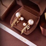 2026年2月5日入荷新品Diorピアスギフト/誕生日/記念品/アクセサリーxin工場