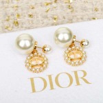 2026年2月5日入荷新品Diorピアスギフト/誕生日/記念品/アクセサリーxin工場