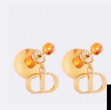 2026年2月5日入荷新品Diorピアスギフト/誕生日/記念...