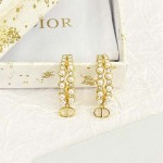 2026年2月5日入荷新品Diorピアスギフト/誕生日/記念品/アクセサリーxin工場