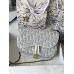 2026年2月19日新作高品質Diorバッグ /LYS工場