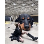 2026年2月26日入荷早春新作Acneジャケットファッション/誕生日プレゼント/贈り物 can工場