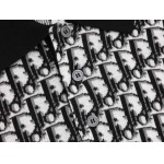 2026年3月13日新作Diorニットの半袖高品質人気商品/誕生日プレゼント/FF工場