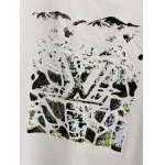 2026年3月27日入荷新作Louis Vuitton半袖Tシャツ春夏高品質超厳選★入手困難/LD工場